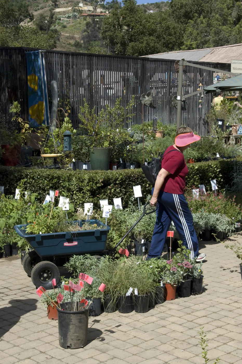 Courtyard, Garden Growers Nursery, SBBG Fall Plant Sale, 2010