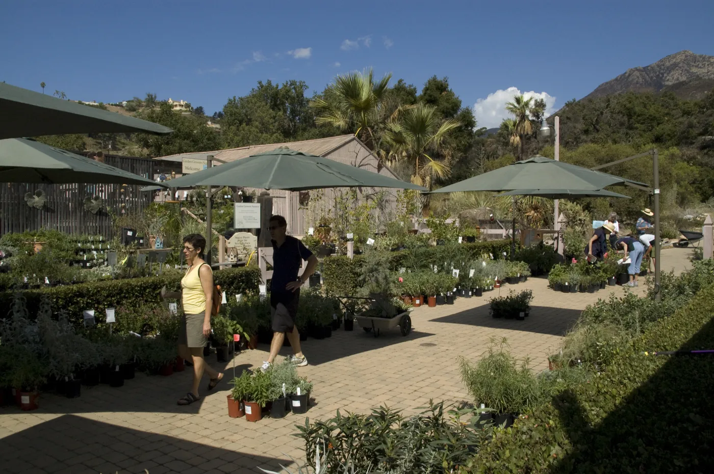 Courtyard, Garden Growers Nursery, SBBG Fall Plant Sale, 2010