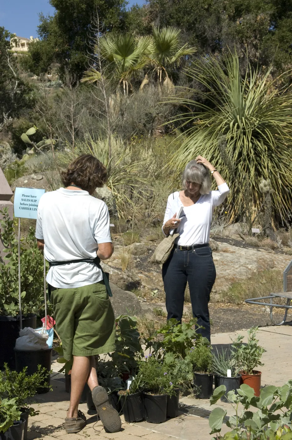 Courtyard, SBBG Fall Plant Sale, 2010