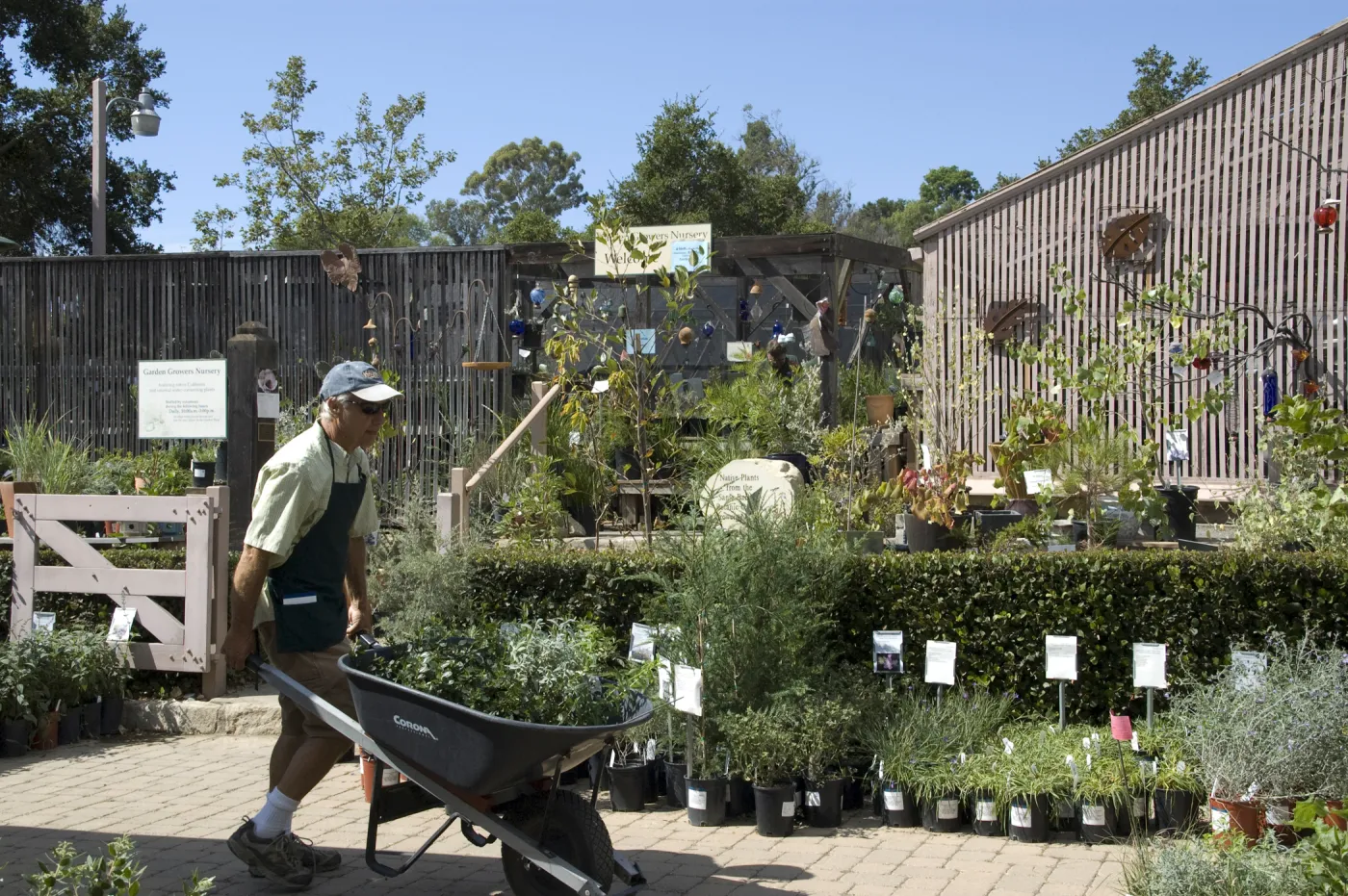 Courtyard, Garden Growers Nursery, SBBG Fall Plant Sale, 2010