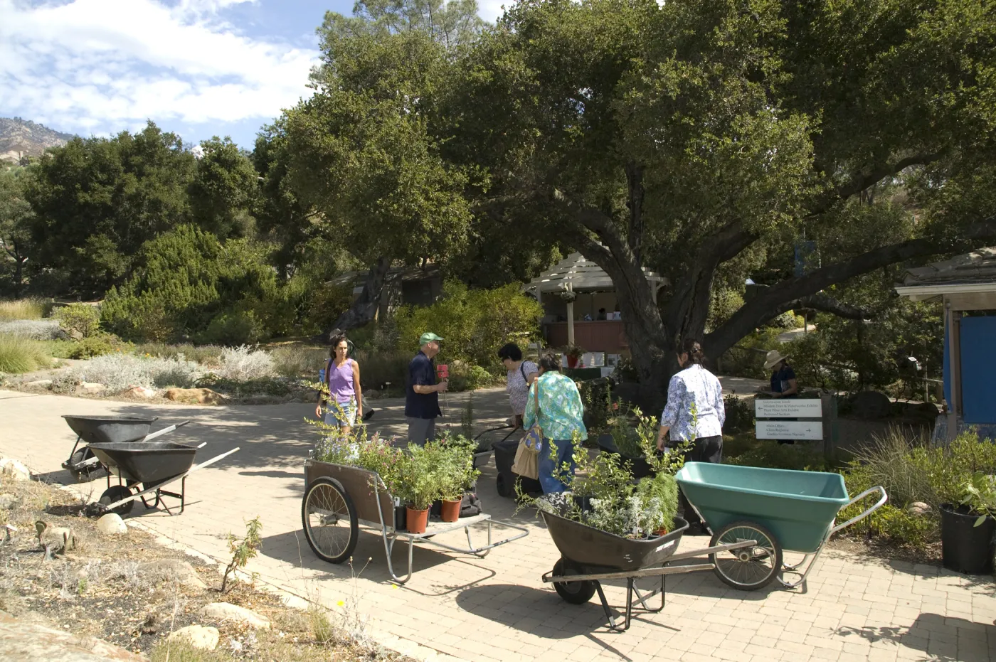 Courtyard, SBBG Fall Plant Sale, 2010