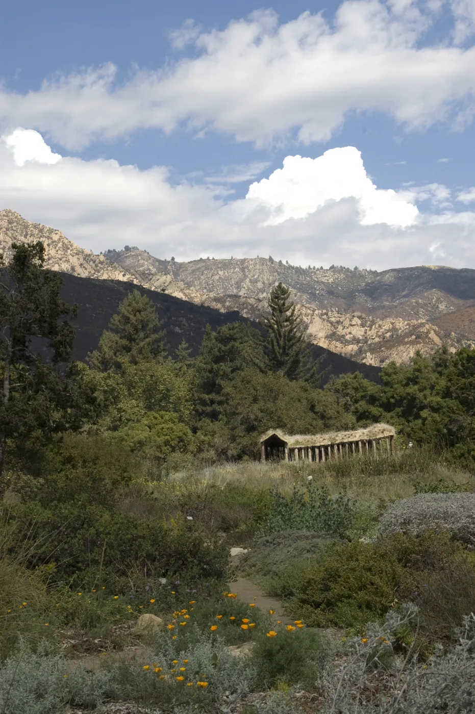 meadow and mountain view from the Entrance oak, clouds, Herb Parker exhibit, 2010