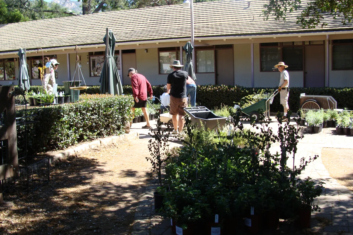 SBBG staff and volunteers prepare for the Spring Plant Sale, 2011
