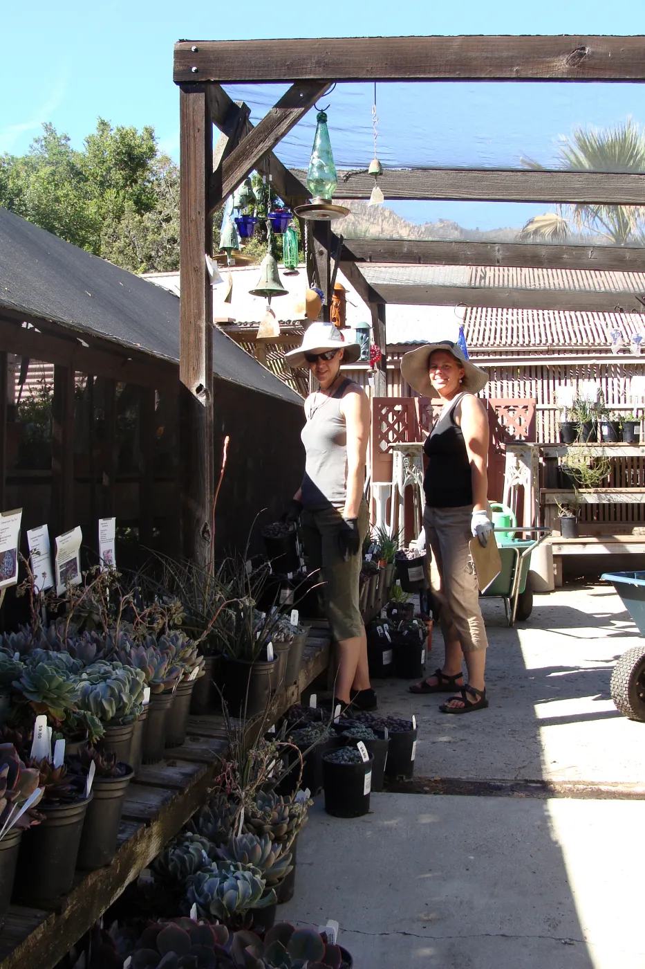 SBBG staff and volunteers prepare for the Spring Plant Sale, 2011