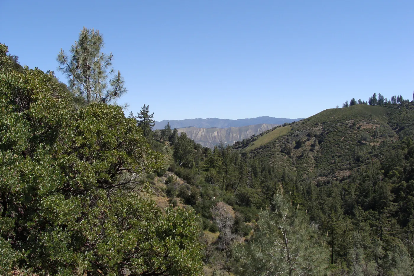 viewing Hurricane Deck from Figueroa Mountain Road, 2011