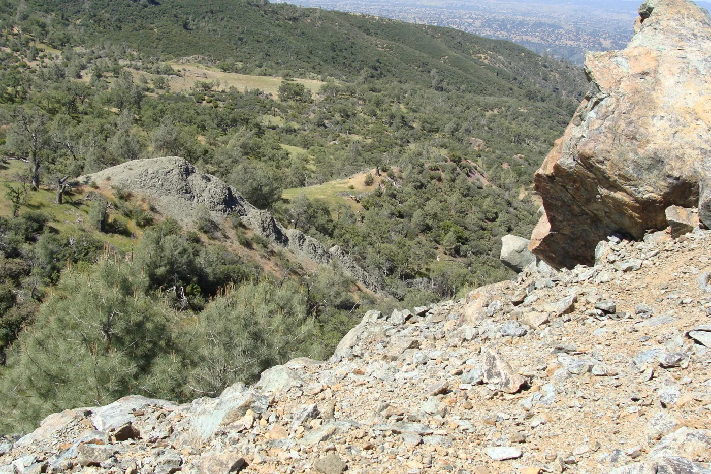 Santa Barbara jewelflower habitat, serpentine outcrop, Figueroa Mountain, 2011