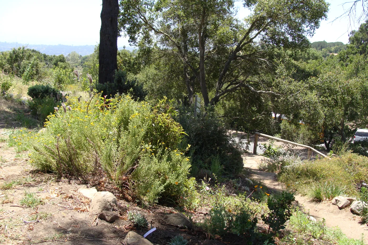 Porter Trail entrance, above Mission Canyon Road, SBBG, 2 years after the Jesusita Fire