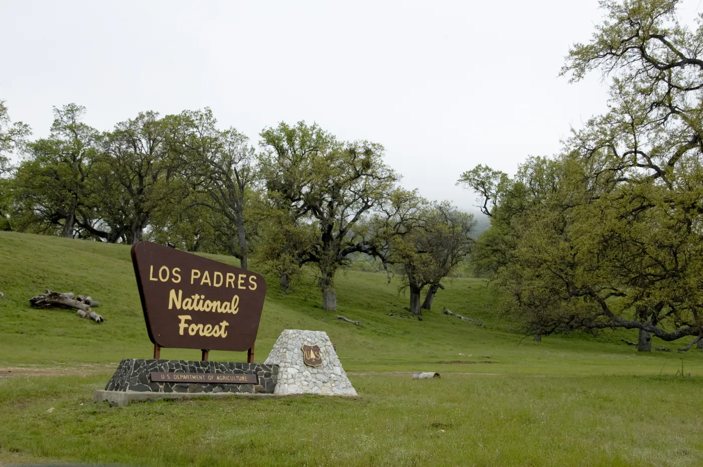 Los Padres National Forest, Fort Hunter Liggett, SBBG Research and Conservation staff field trip, 2006