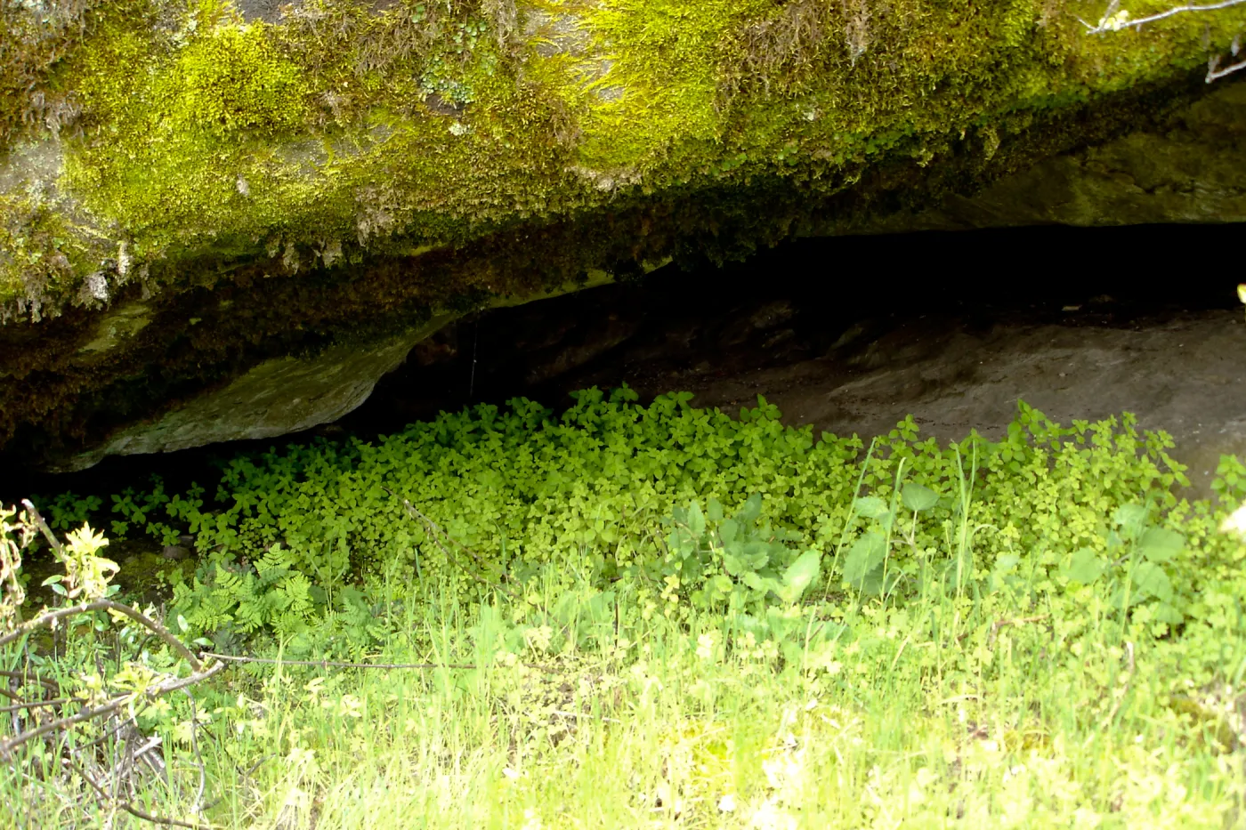 Wagon Caves rock shelter, Fort Hunter Liggett, SBBG Research and Conservation staff field trip, 2006