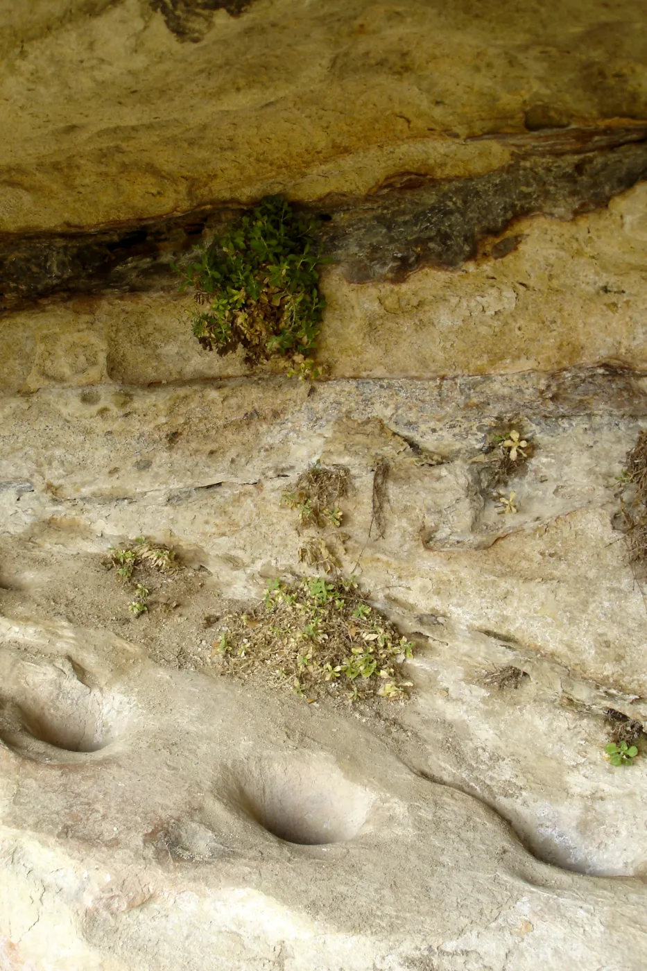 Wagon Caves rock shelter, Fort Hunter Liggett, SBBG Research and Conservation staff field trip, 2006