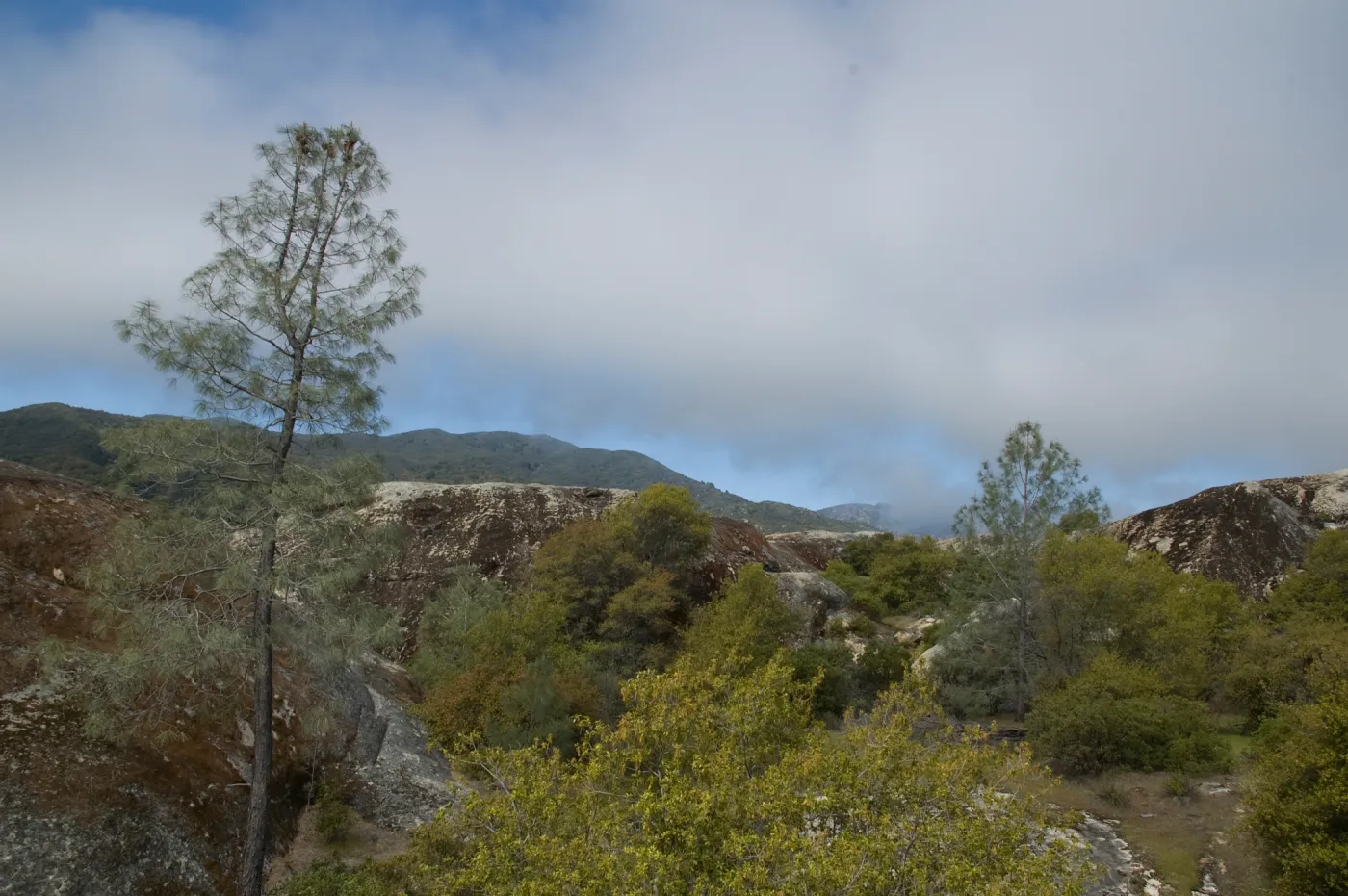 view from top of Wagon Caves rock shelter, Fort Hunter Liggett, SBBG Research and Conservation staff field trip, 2006