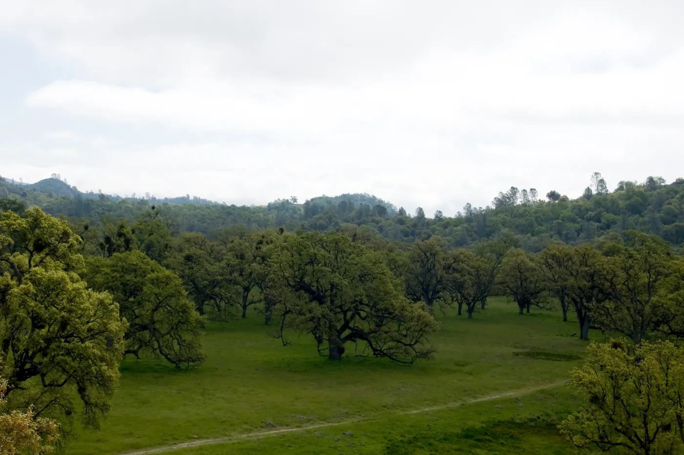 view from top of Wagon Caves rock shelter, Fort Hunter Liggett, SBBG Research and Conservation staff field trip, 2006