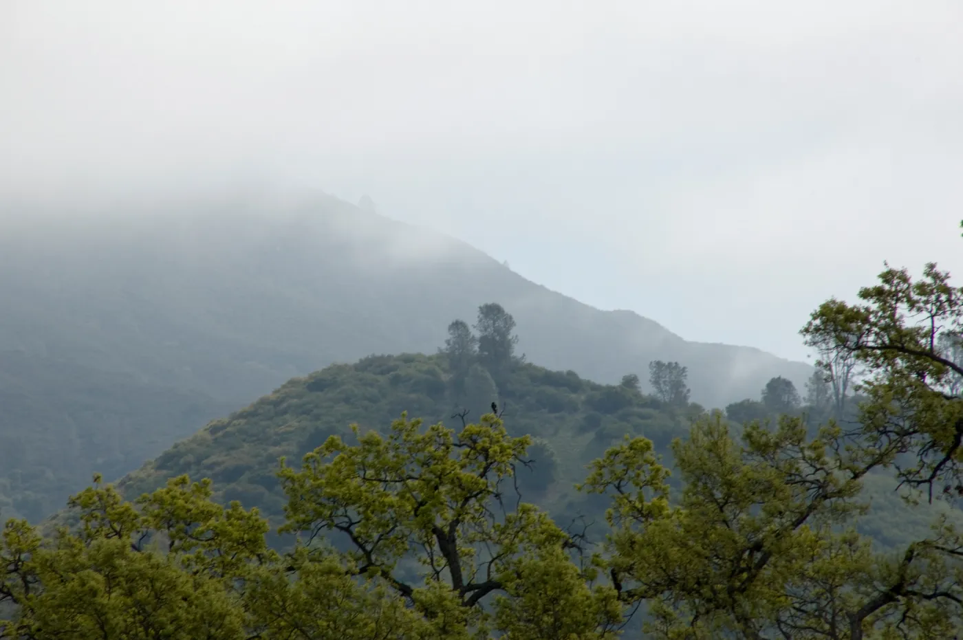 view from top of Wagon Caves rock shelter, Fort Hunter Liggett, SBBG Research and Conservation staff field trip, 2006