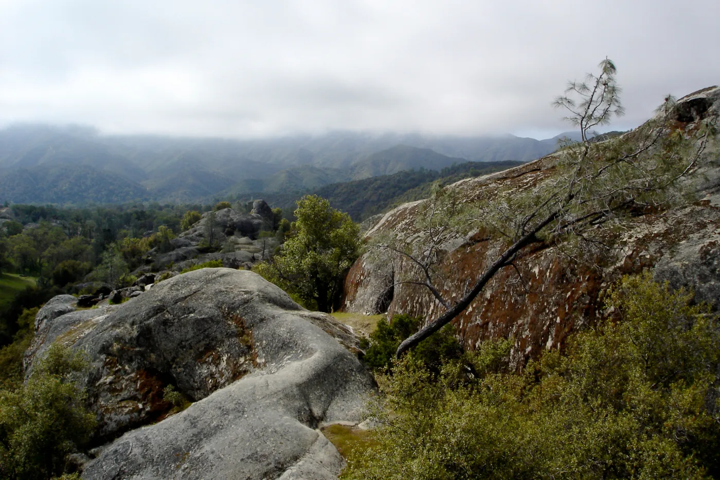 view from top of Wagon Caves rock shelter, Fort Hunter Liggett, SBBG Research and Conservation staff field trip, 2006
