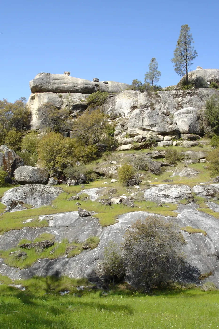 Wagon Caves rock shelter, Fort Hunter Liggett, SBBG Research and Conservation staff field trip, 2006