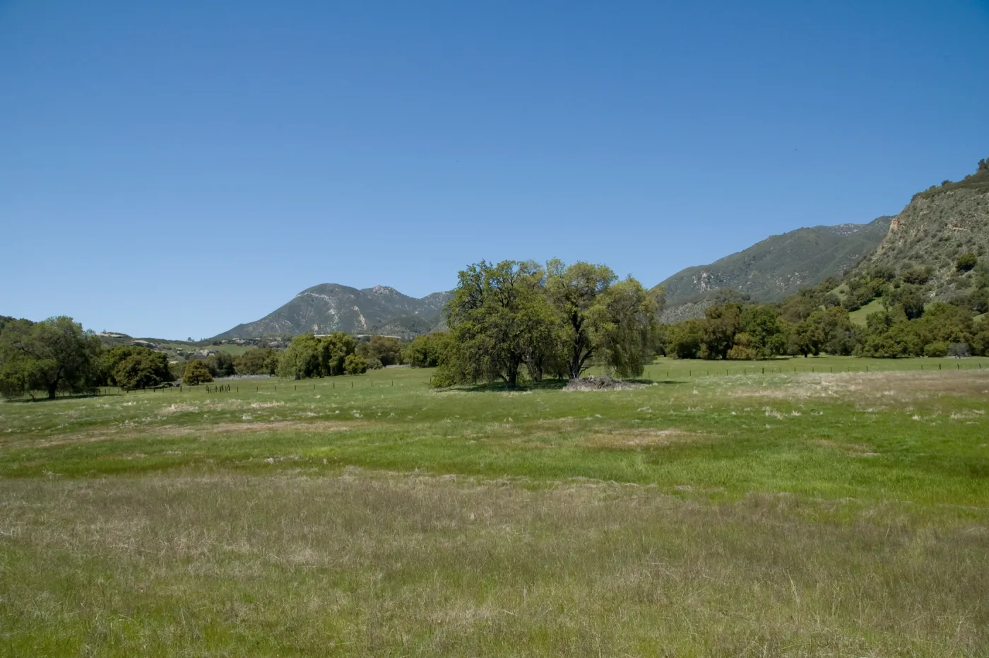 Santa Lucia Trail, Santa Lucia Mountains, SBBG Research and Conservation staff field trip, Fort Hunter Liggett, 2006