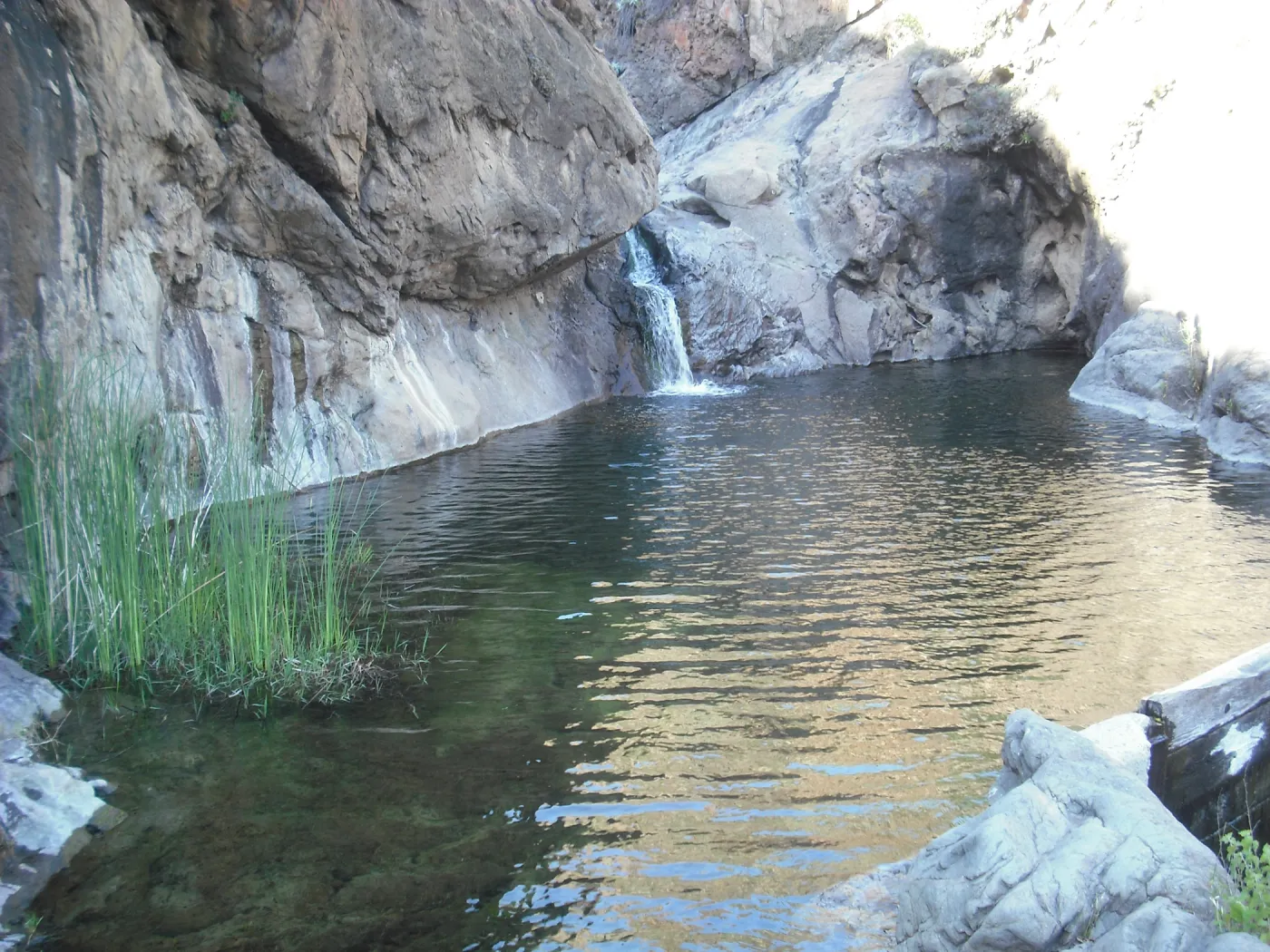 La Cascada pool and waterfall, Central Valley, SBBG Field Trip to Santa Cruz Island, 2011