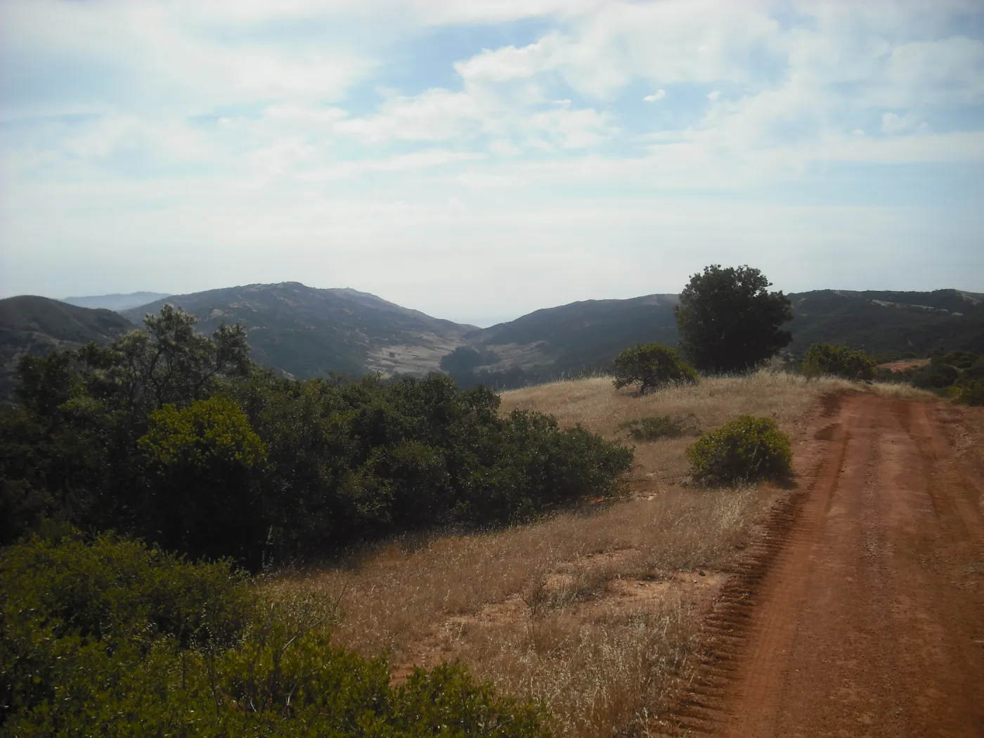 Central Valley, ridge road, SBBG Field Trip to Santa Cruz Island, 2011