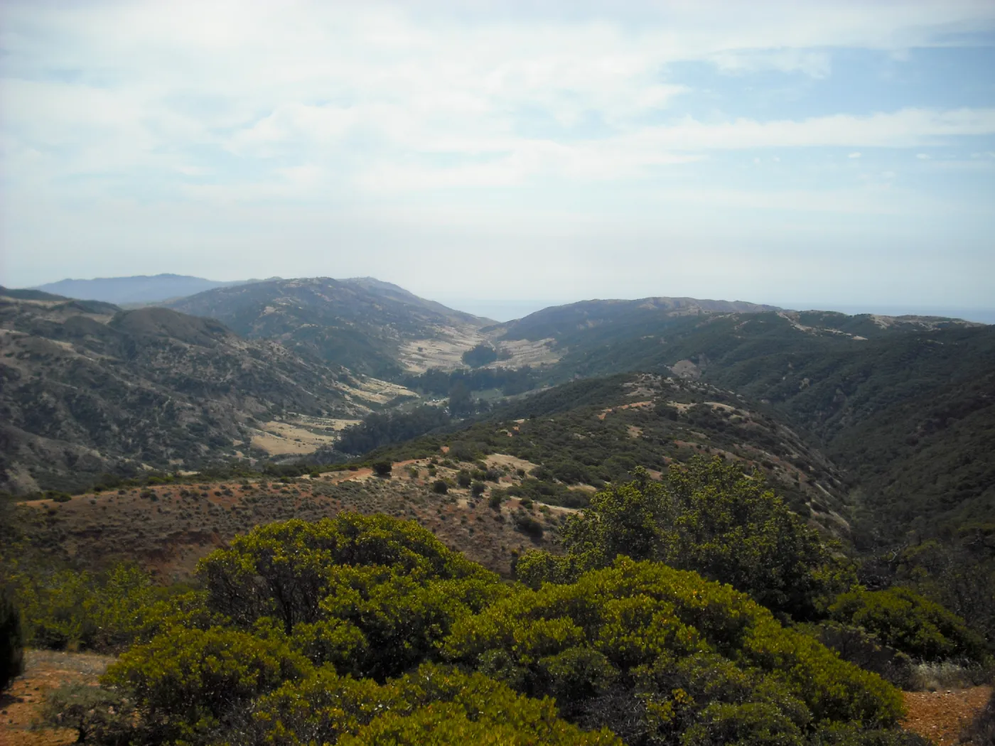 Central Valley, ridge road, SBBG Field Trip to Santa Cruz Island, 2011