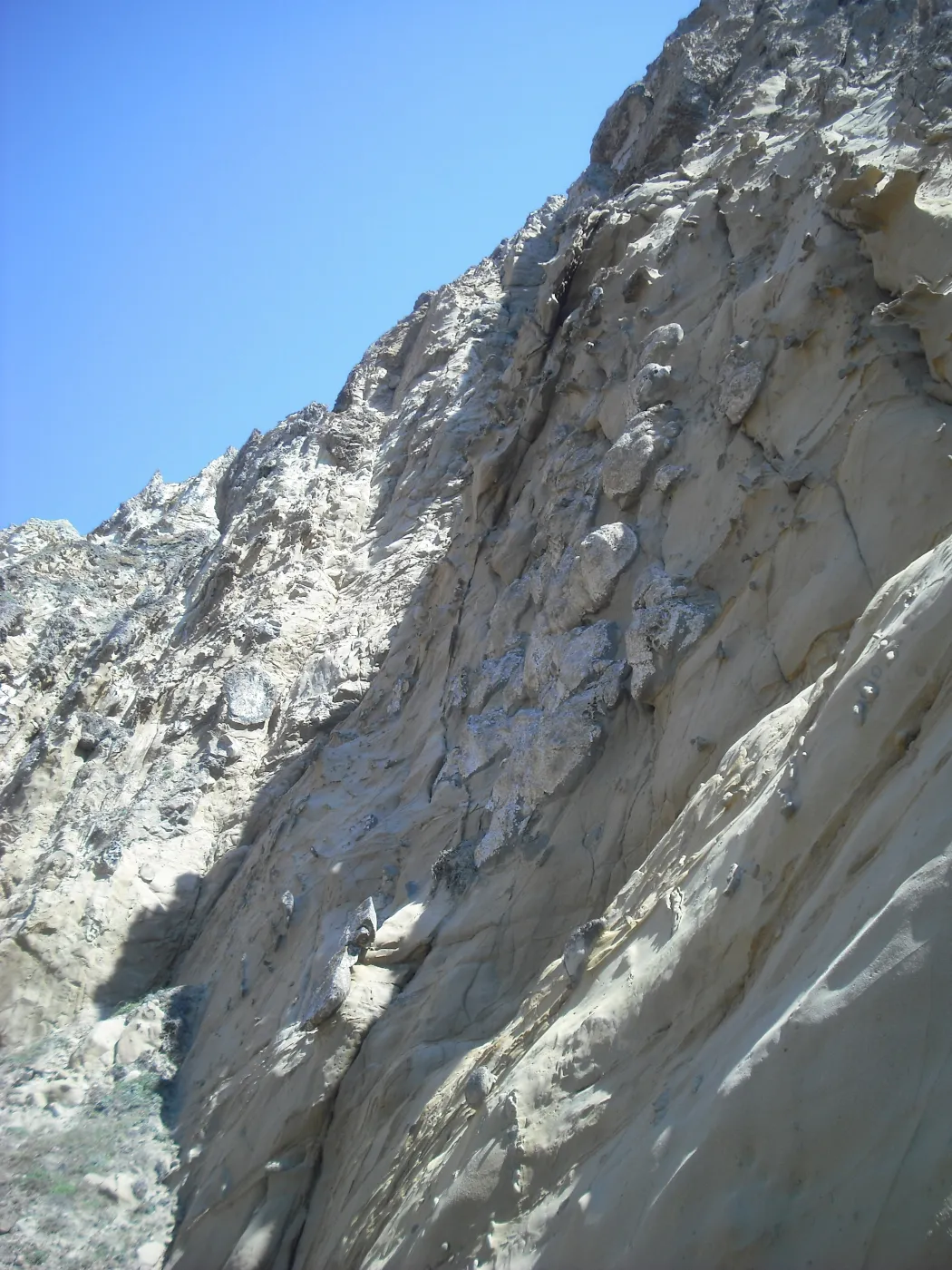 sandstone cliff at Christy Beach, SBBG Field Trip to Santa Cruz Island, 2011