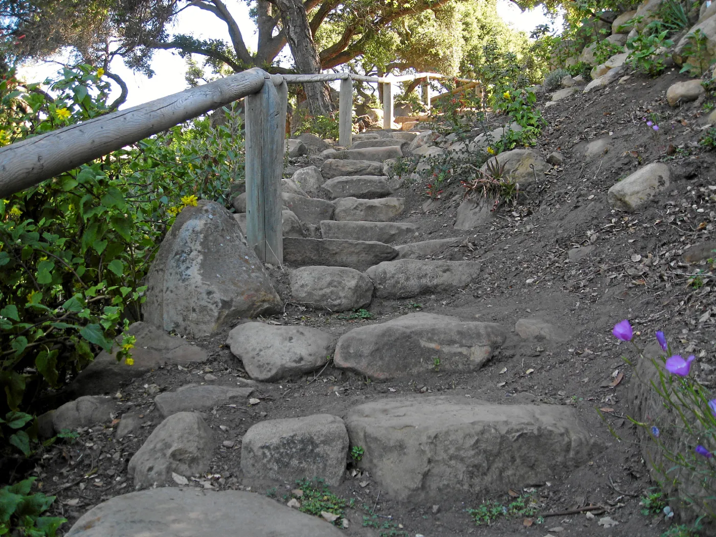 Campbell Trail steps
