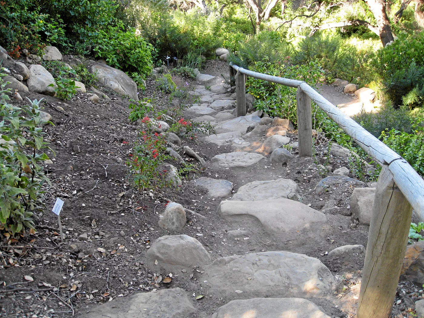 Campbell Trail steps