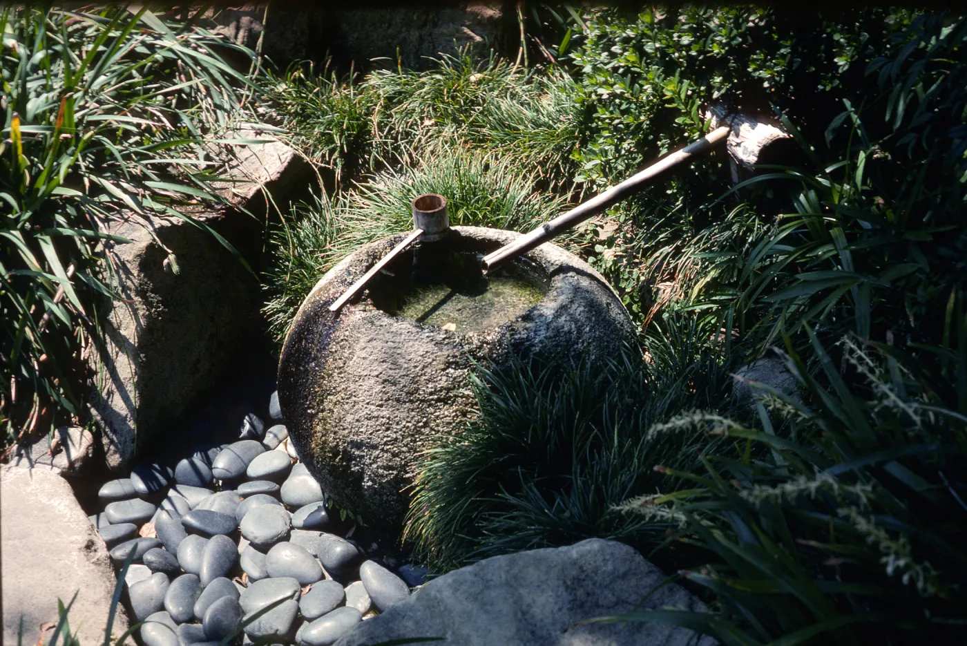 water feature, UCLA Japanese GArden