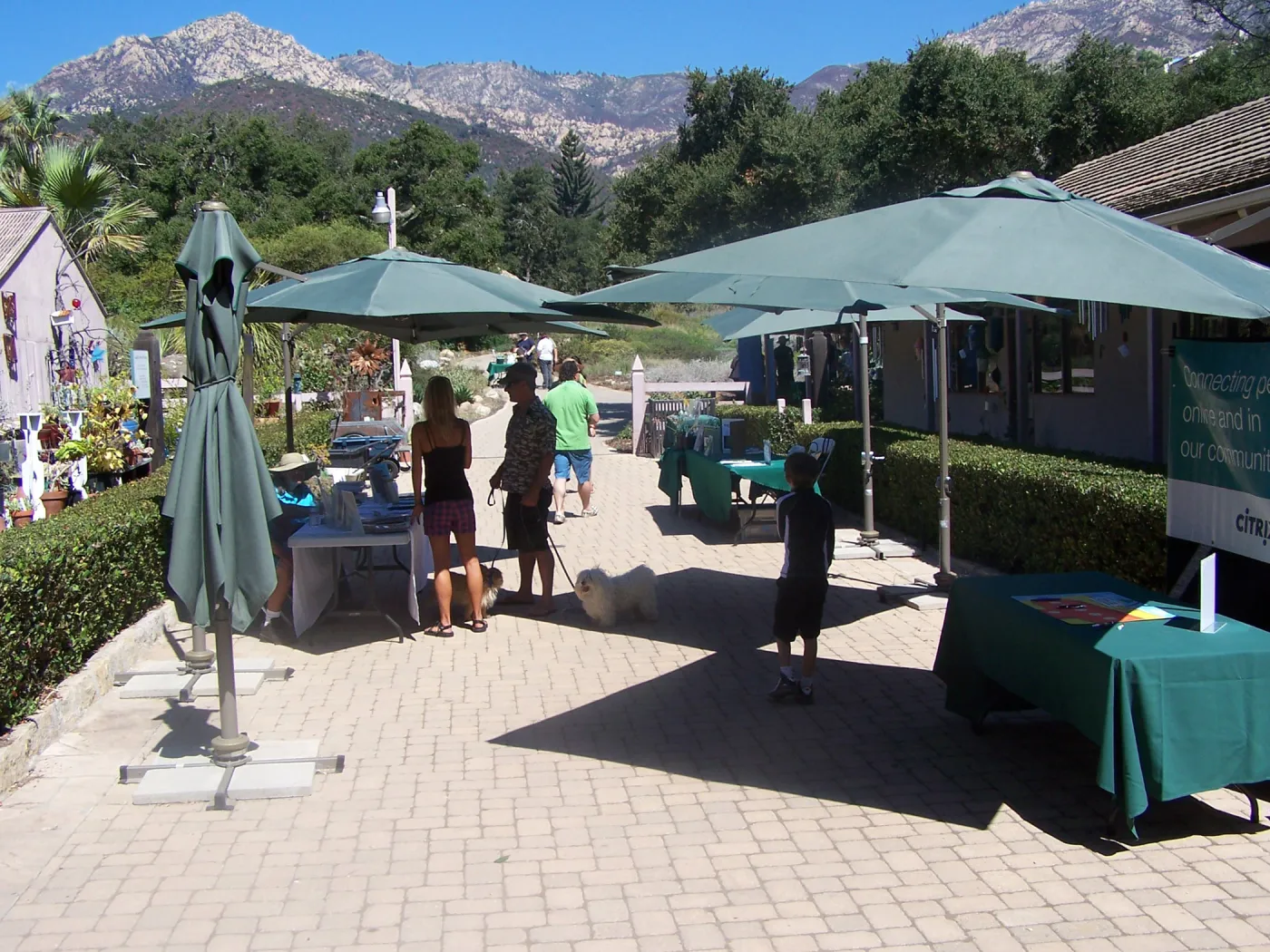 SBBG Community Free Day, Information tables in the Courtyard, dog on leash
