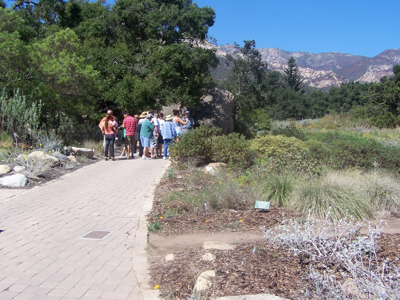 SBBG Community Free Day, Docent Tour group