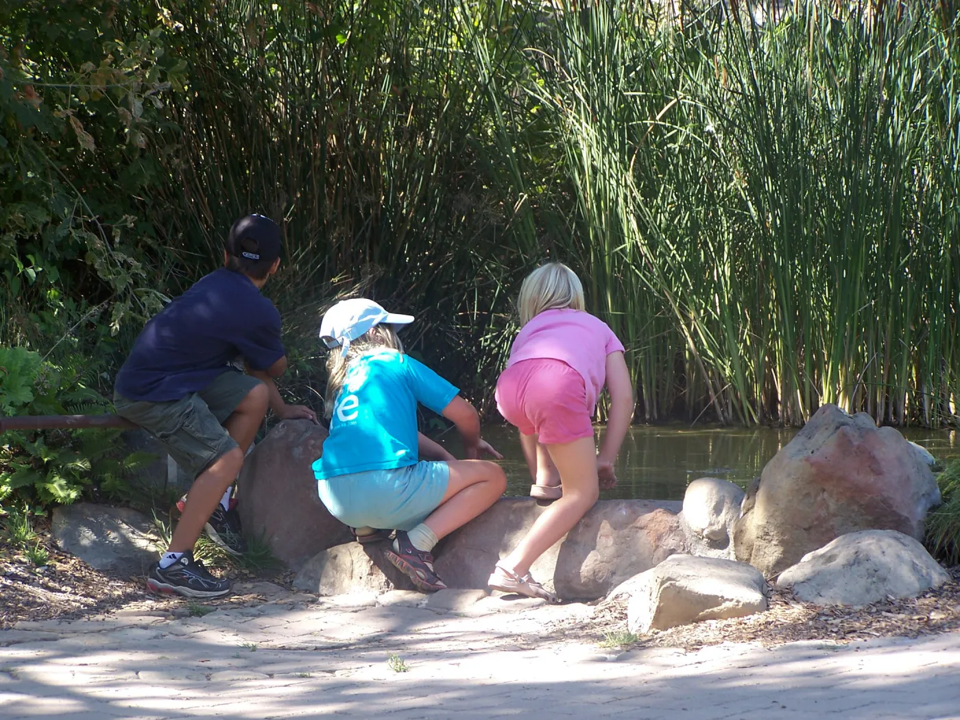 SBBG Community Free Day, children at the Meadow Pond