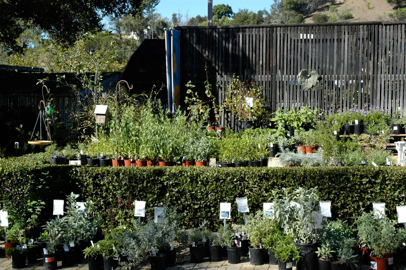 Garden Growers Nursery, Fall Plant Sale 2011