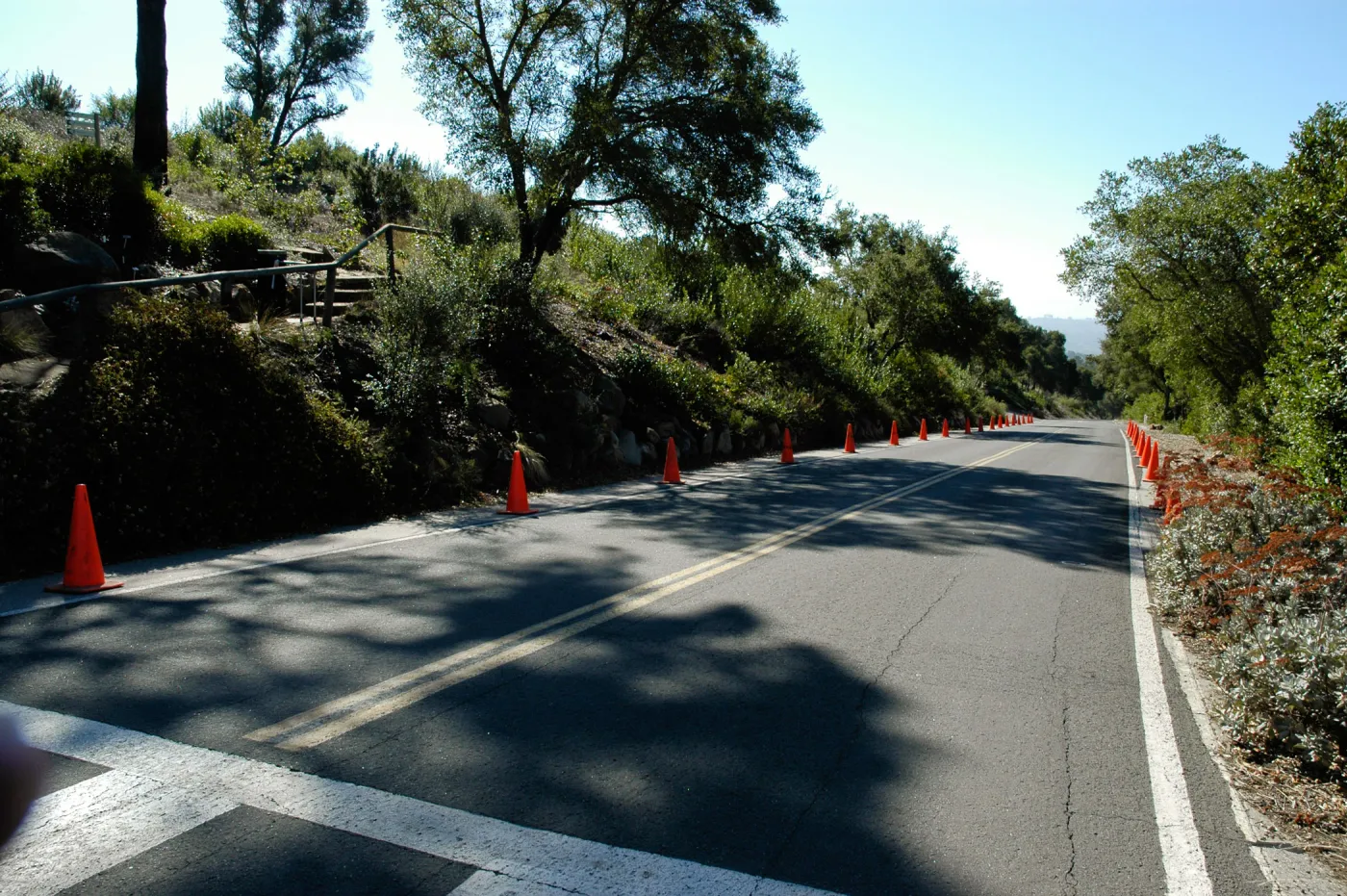 Mission Canyon Road, orange cones, SBBG Community Free Day, October 16 2011