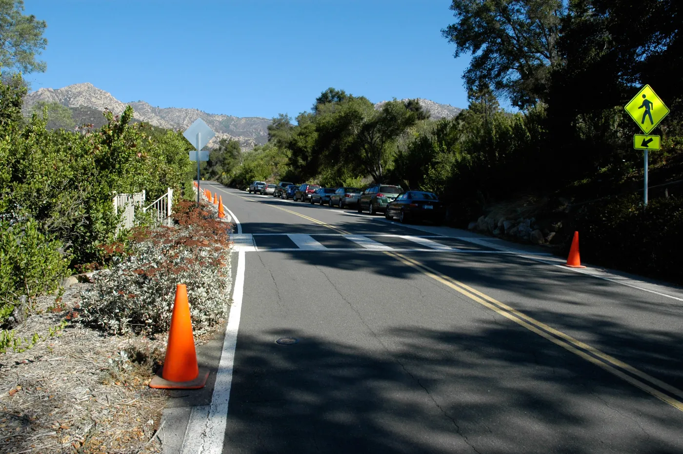 Mission Canyon Road, orange cones, SBBG Community Free Day, October 16 2011