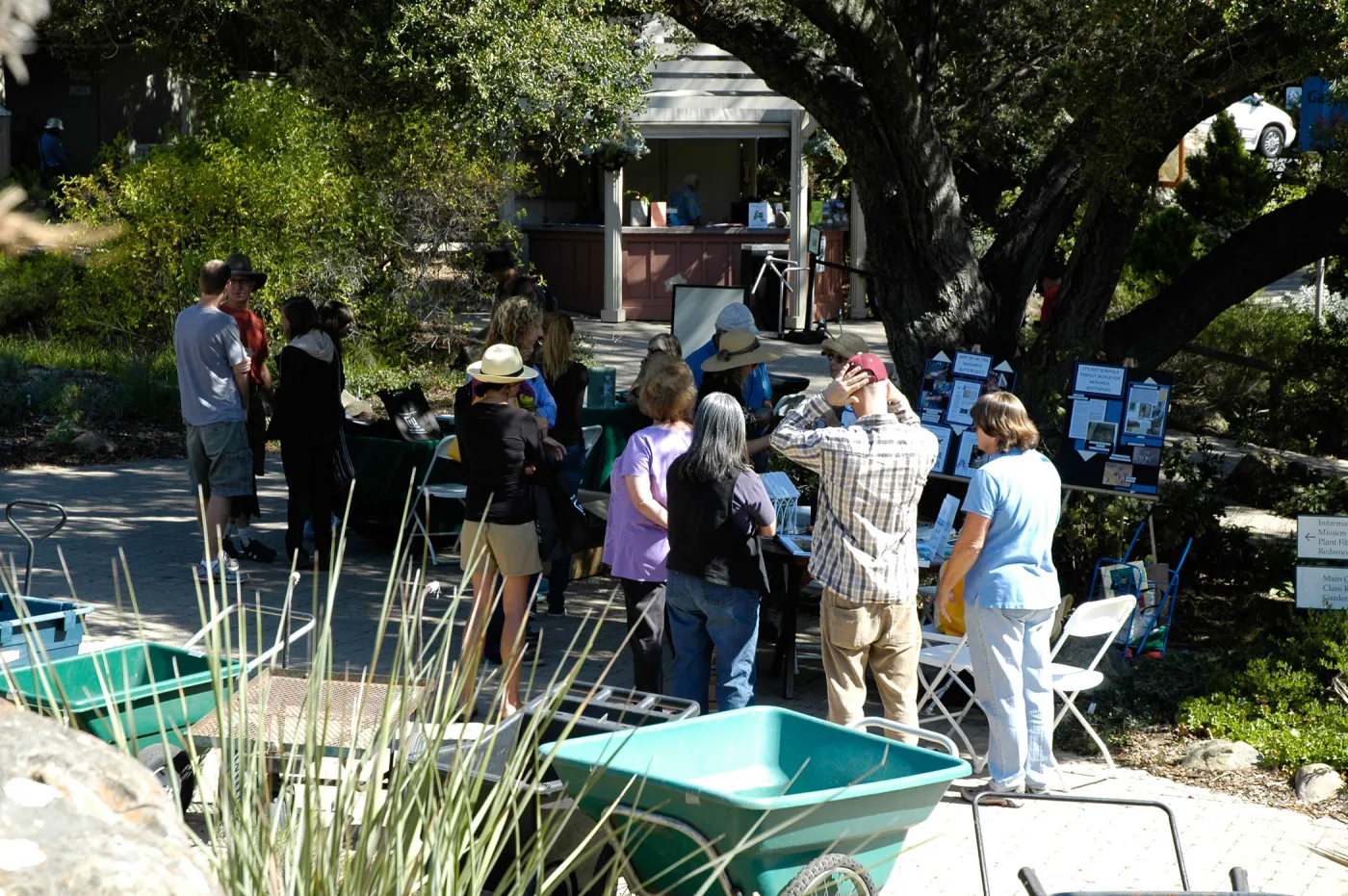 Master Gardener butterfly demonstration table, SBBG Community Free Day, October 16 2011