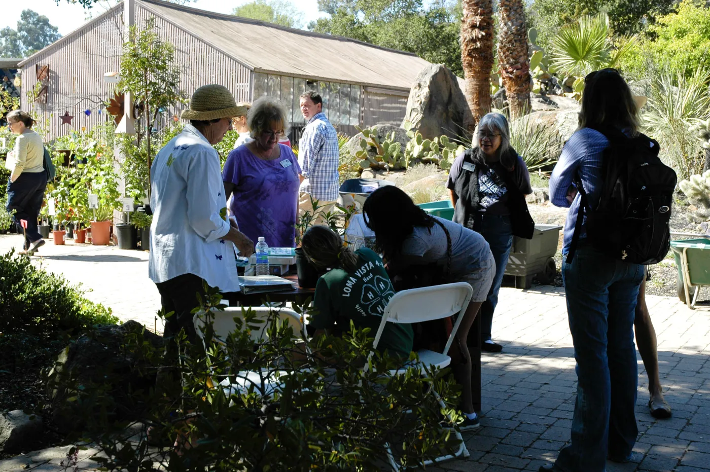 Master Gardener butterfly demonstration table, SBBG Community Free Day, October 16 2011