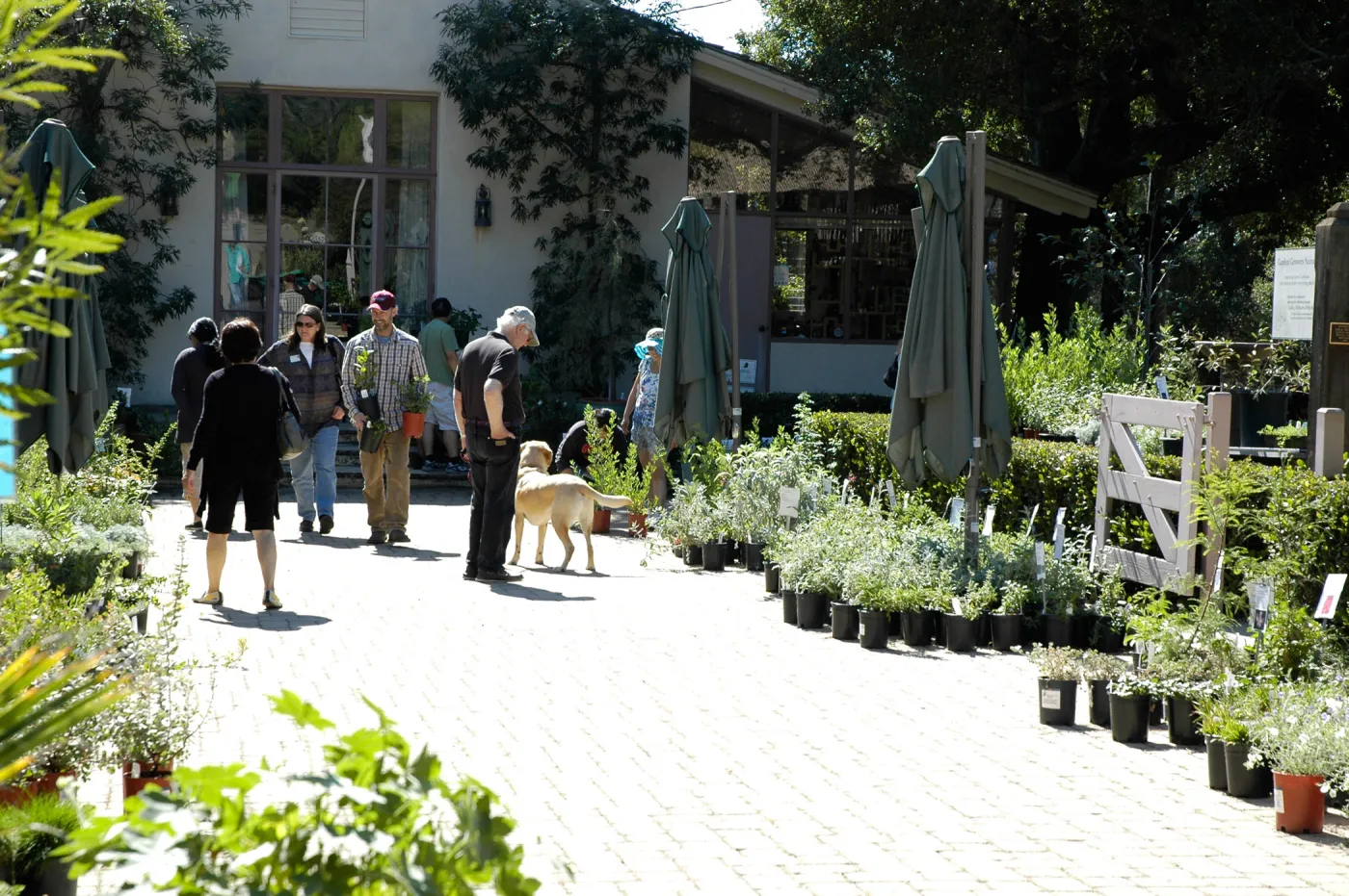 Garden Growers Nursery, Fall Plant Sale, SBBG Community Free Day, October 16 2011