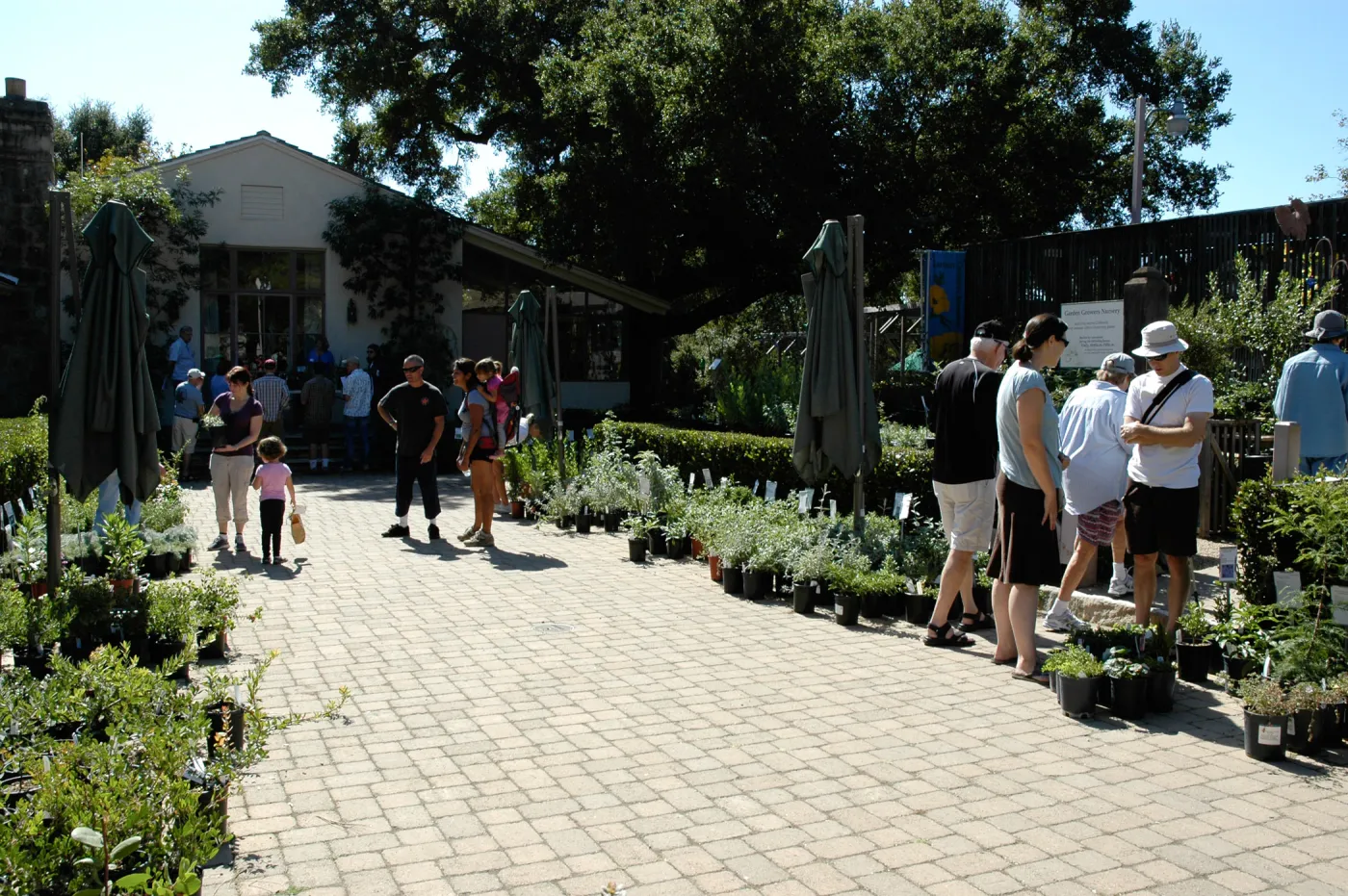 visitors in the Courtyard, Fall Plant Sale, Community Free Day, October 2011