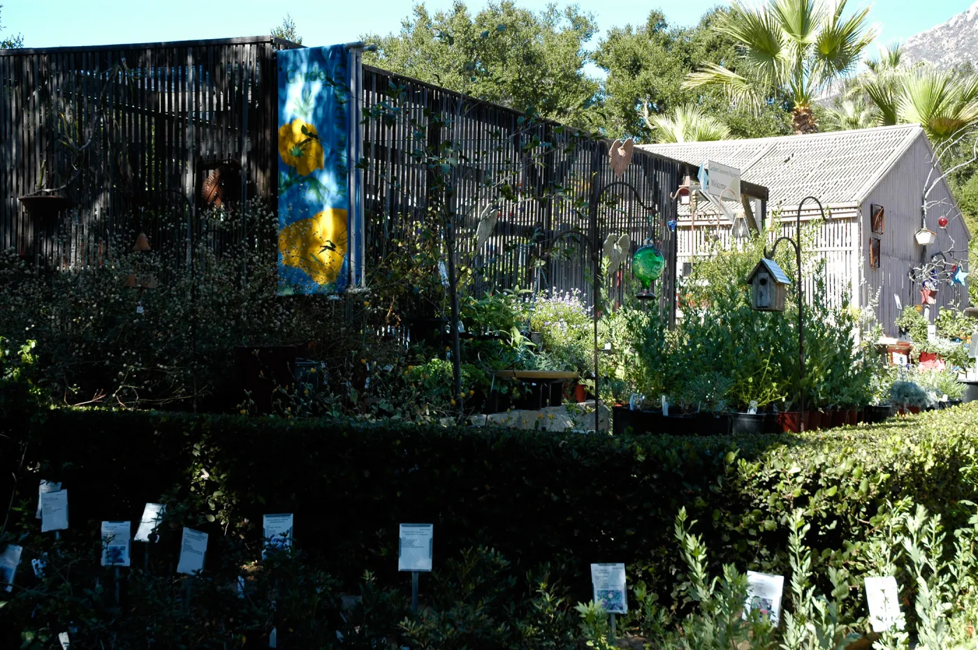 Garden Growers Nursery, Fall Plant Sale, Community Free Day, October 2011