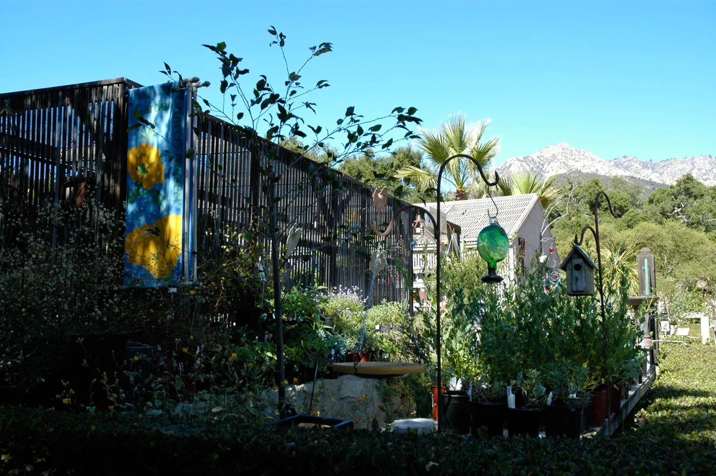 Garden Growers Nursery, Fall Plant Sale, Community Free Day, October 2011