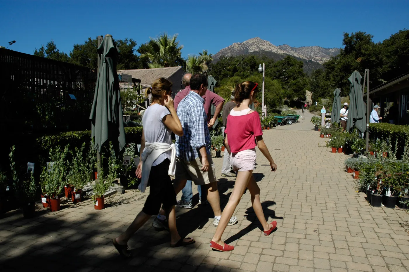 visitors in the Courtyard, Fall Plant Sale, Community Free Day, October 2011