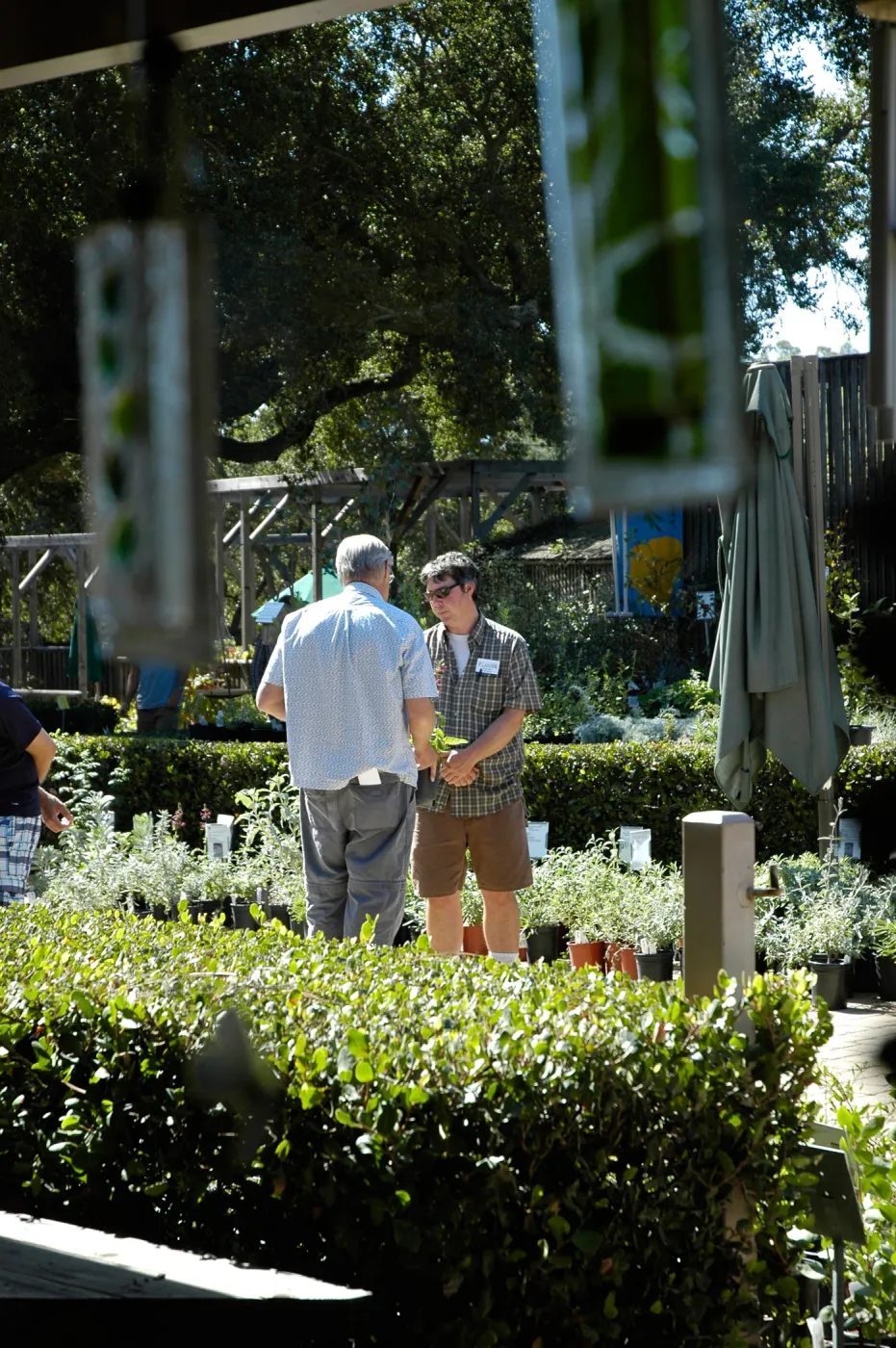 Bruce Reed with Garden visitor in the Courtyard, Fall Plant Sale, Community Free Day, October 2011