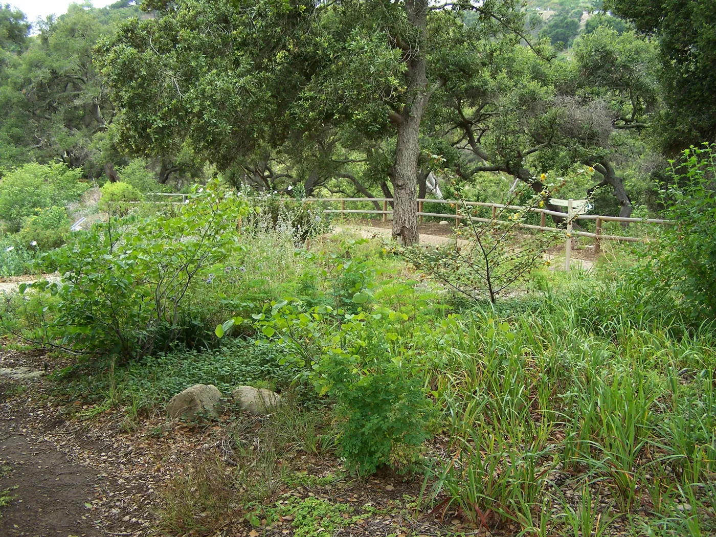 Meadow View planting area