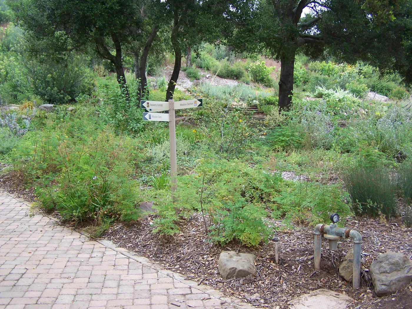 Meadow View planting area
