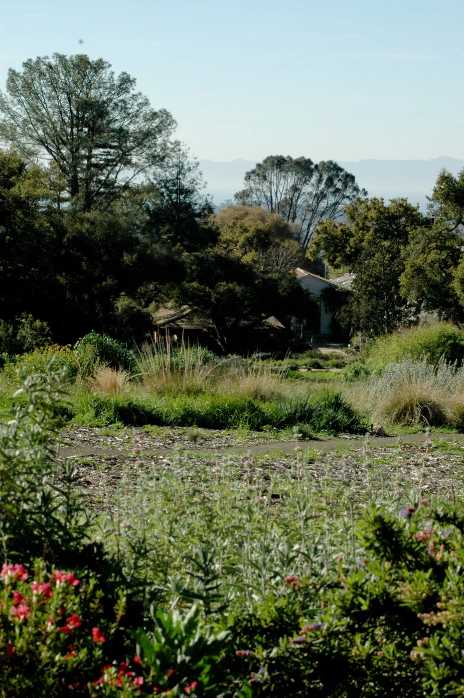 view from the top of the Meadow down to the Blaksley Library