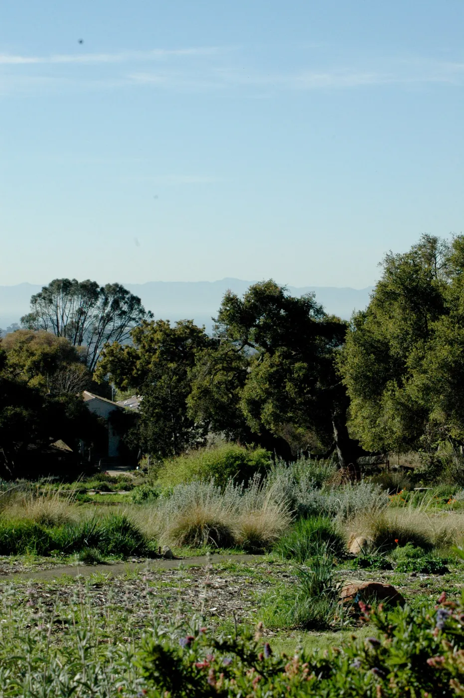 view from the top of the Meadow down to the Blaksley Library