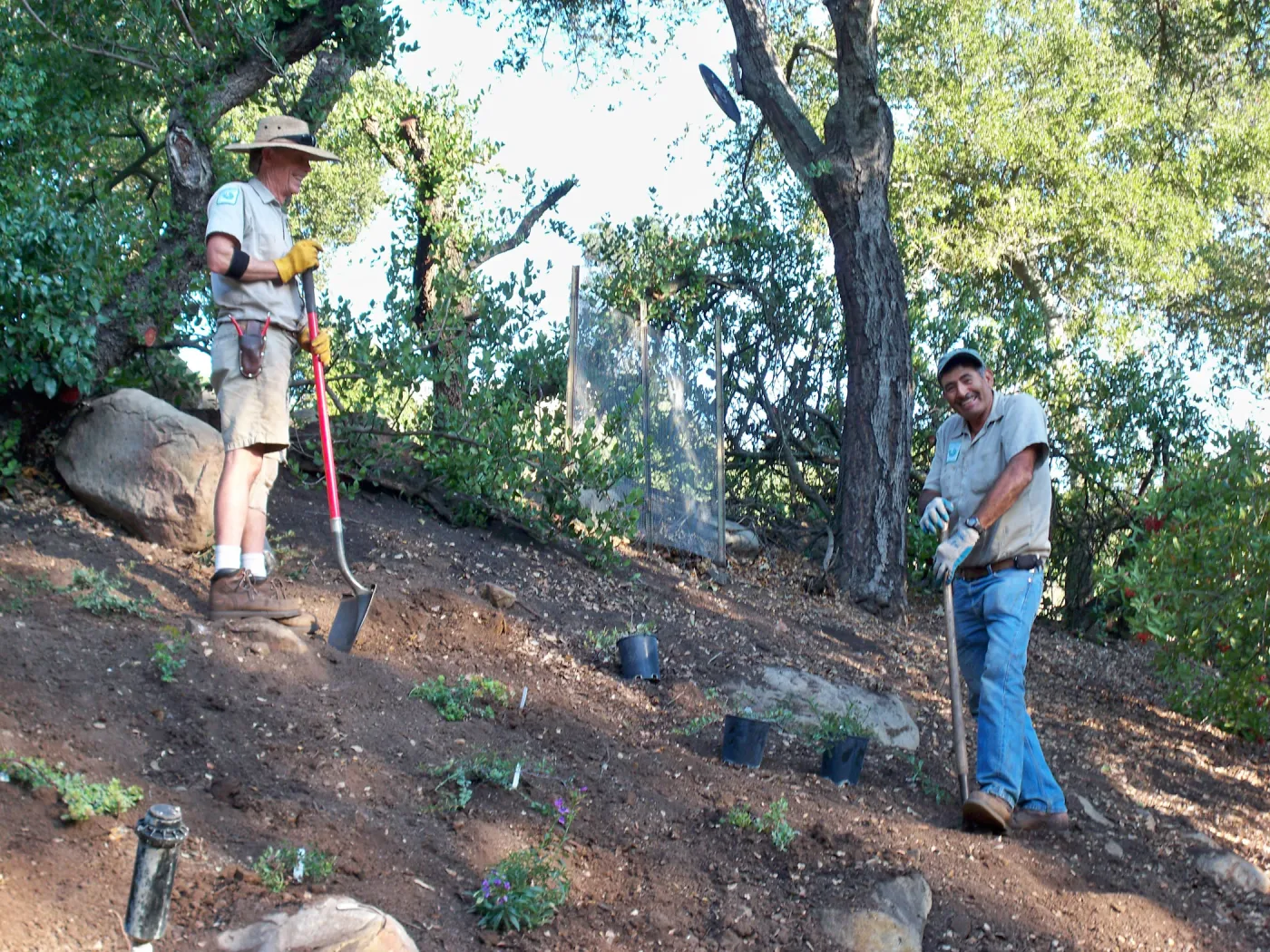 Jay Kendall and Manuel Gonzalez laying out new plants in the Arroyo, SBBG