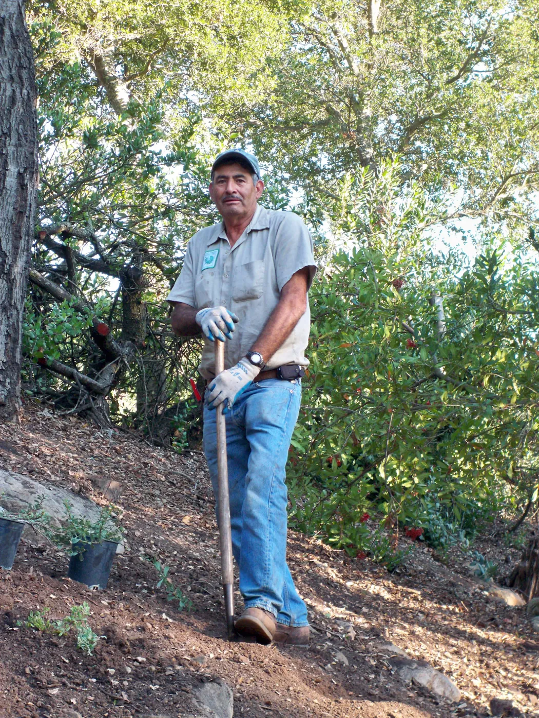 Manuel Gonzalez laying out new plants, Arroyo Section, SBBG