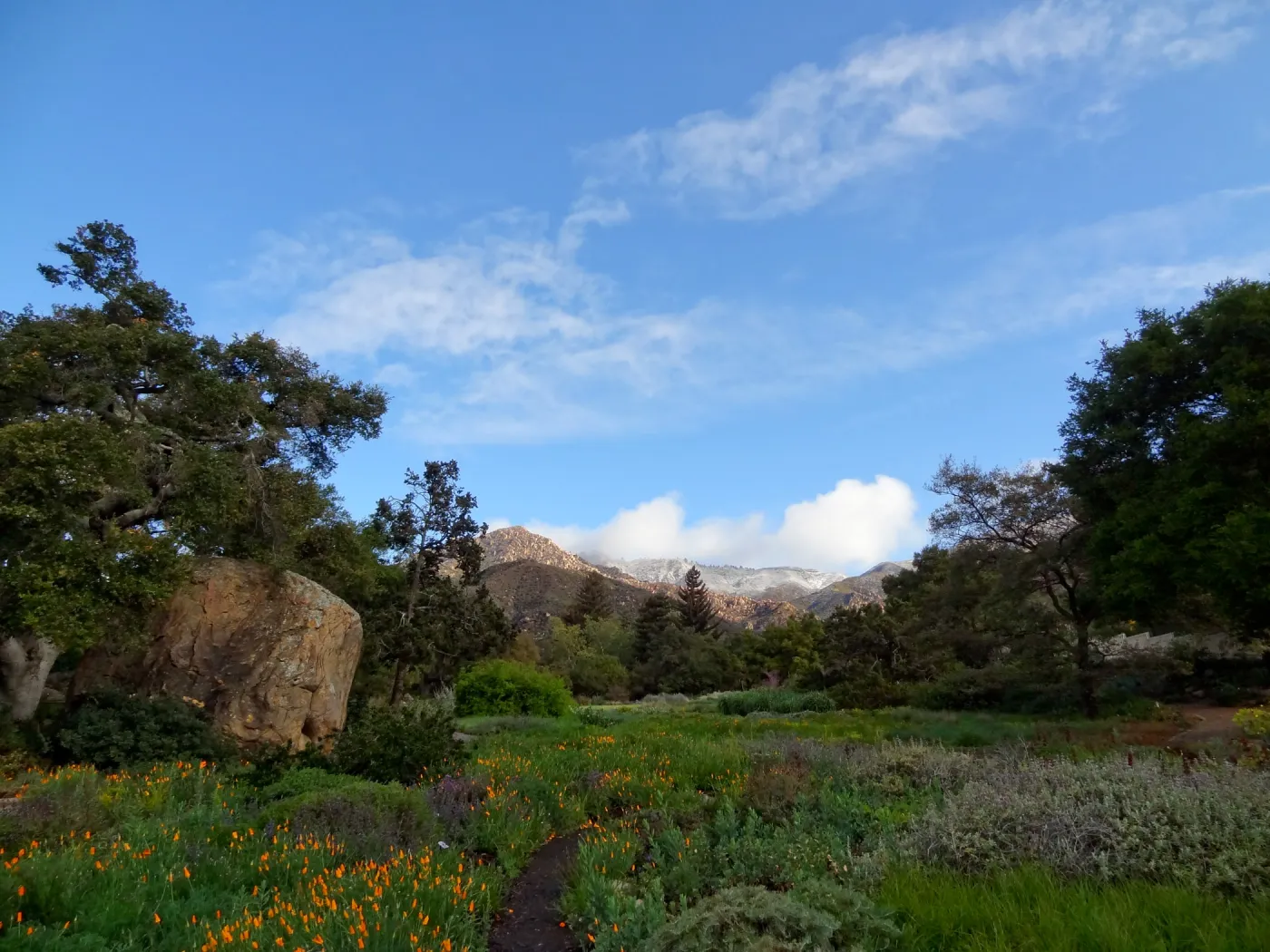 early morning in the Meadow, snow on the mountains, view to Arlington Peak, Santa Barbara Botanic Garden