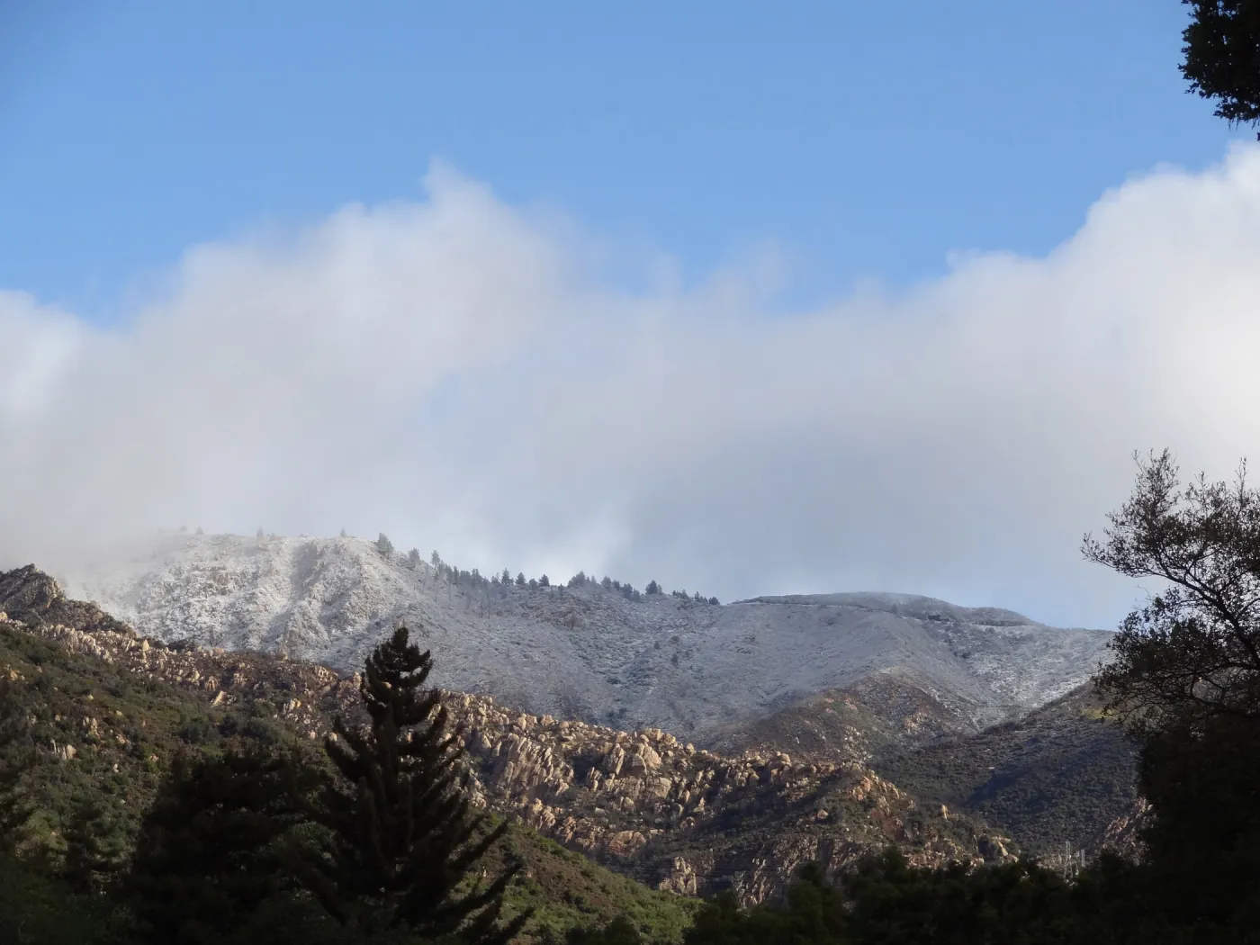 snow on the mountains above the Santa Barbara Botanic Garden