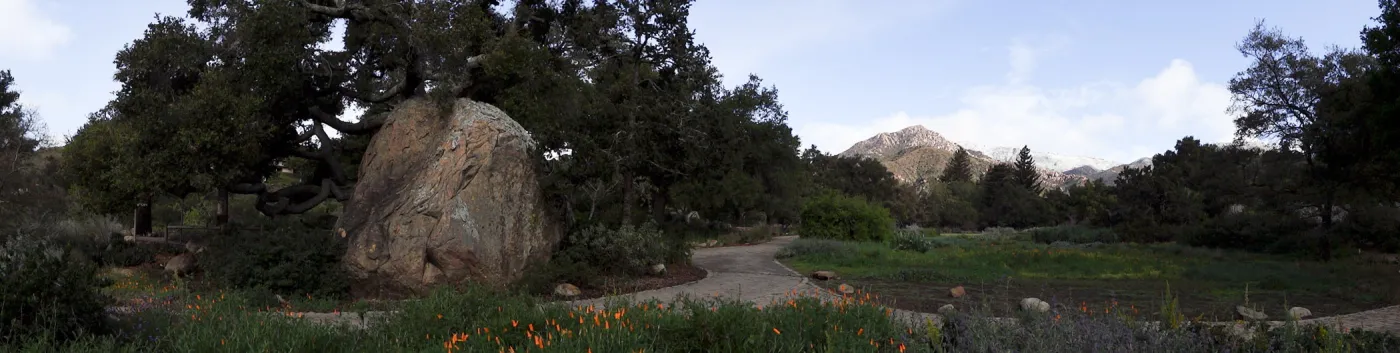 Blaksley Boulder panorama, Santa Barbara Botanic Garden